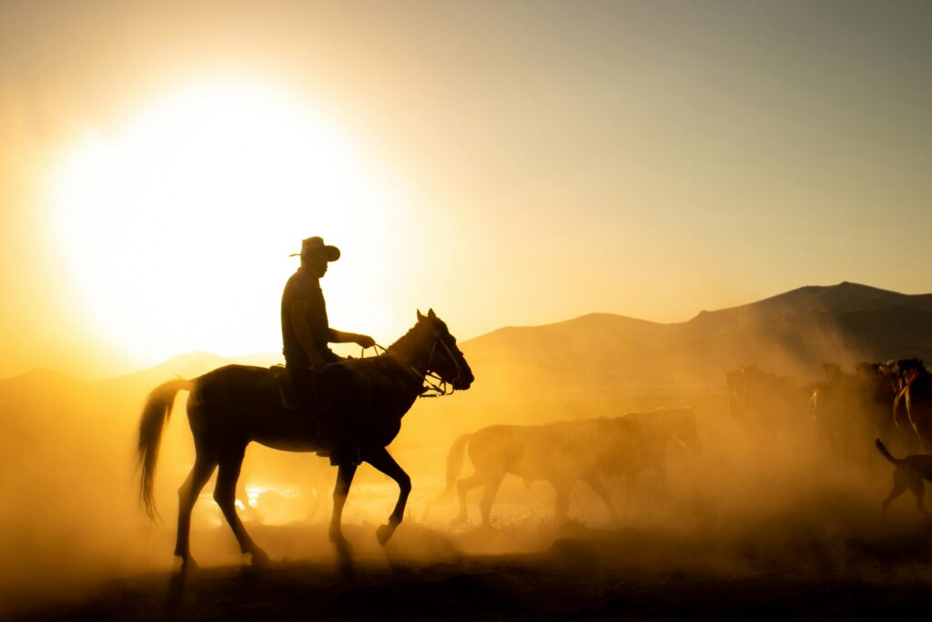 Silhouette of a cowboy riding through dust with a herd at sunset in Hürmetci, Kayseri.