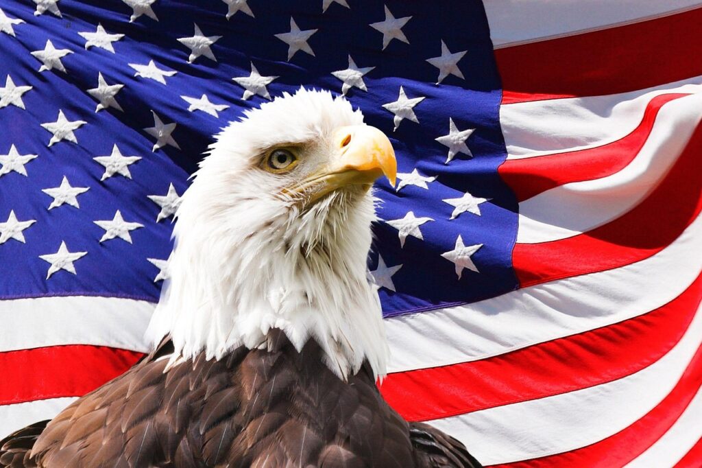 Tune into KBUK to hear about Muldoon Park's July 4, 2026 Celebration eagle, america, flag, bird, symbol, american, bald, patriotic, independence, stripes, freedom, patriotism, proud, stars, animal, nature, usa, united states, bald eagle